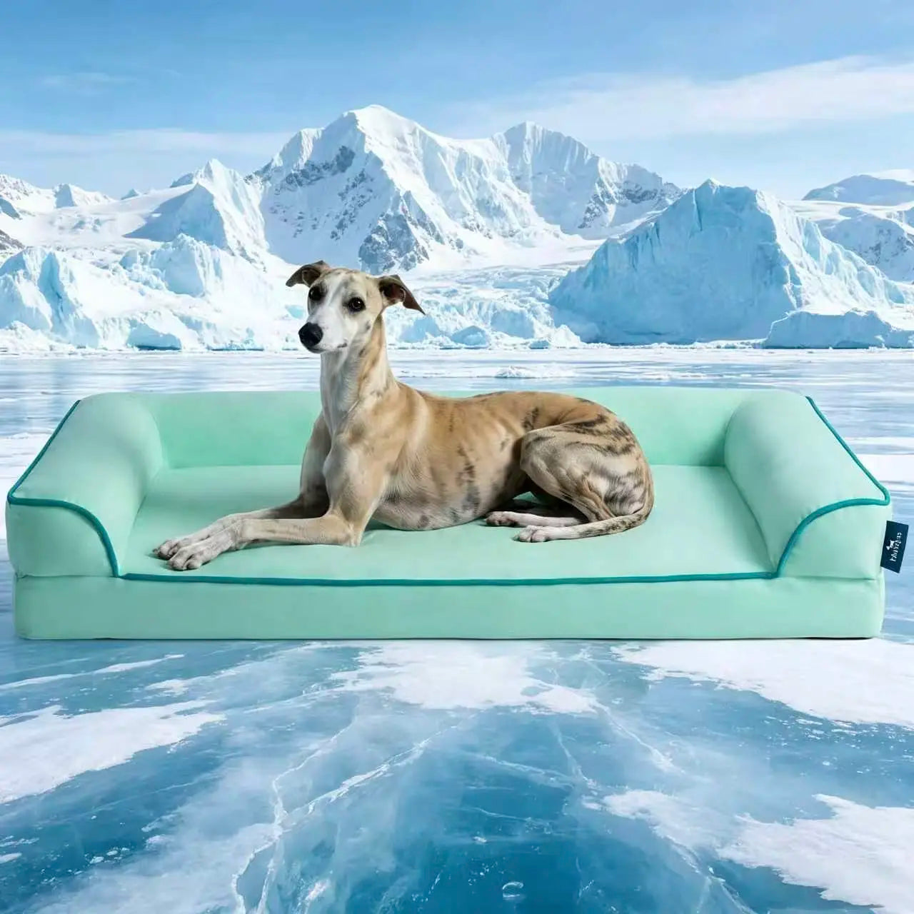 Blunique Orthopedic Cooling Pet Bed for Dogs and Cats, Waterproof Egg Crate Foam Mat and C-Shaped Sofa Bed with Q-Max 4.0 Cooling Fabric, Washable and Dryer Safe Summer Bed for Small and Large Pets