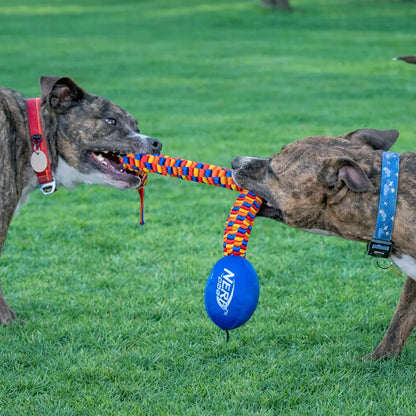 Rainbow Vortex Durable Tug Toy - Vibrant and Resilient