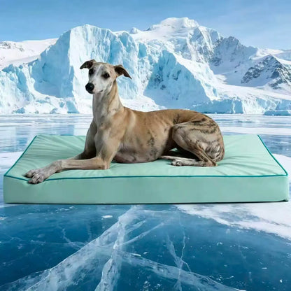 Blunique Orthopedic Cooling Pet Bed for Dogs and Cats, Waterproof Egg Crate Foam Mat and C-Shaped Sofa Bed with Q-Max 4.0 Cooling Fabric, Washable and Dryer Safe Summer Bed for Small and Large Pets