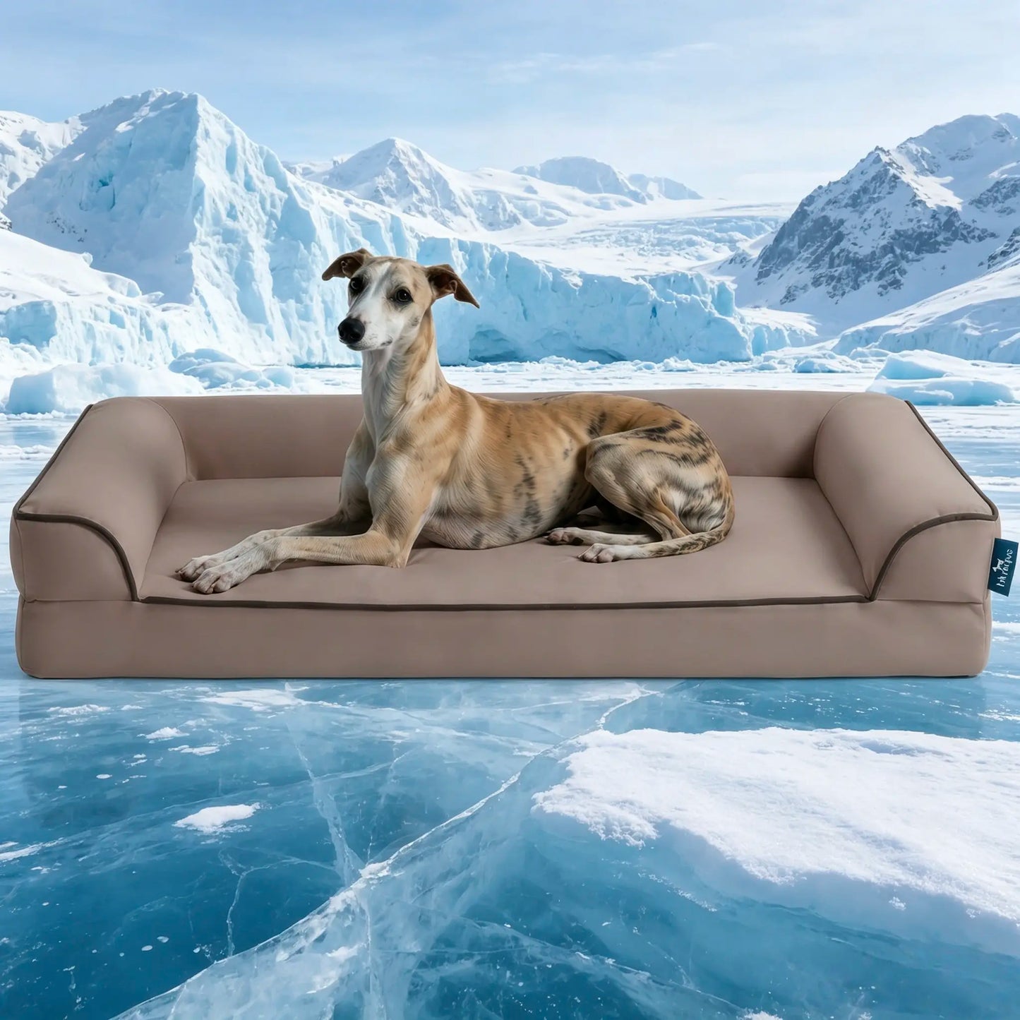 Blunique Orthopedic Cooling Pet Bed for Dogs and Cats, Waterproof Egg Crate Foam Mat and C-Shaped Sofa Bed with Q-Max 4.0 Cooling Fabric, Washable and Dryer Safe Summer Bed for Small and Large Pets