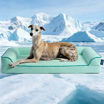 Blunique Orthopedic Cooling Pet Bed for Dogs and Cats, Waterproof Egg Crate Foam Mat and C-Shaped Sofa Bed with Q-Max 4.0 Cooling Fabric, Washable and Dryer Safe Summer Bed for Small and Large Pets