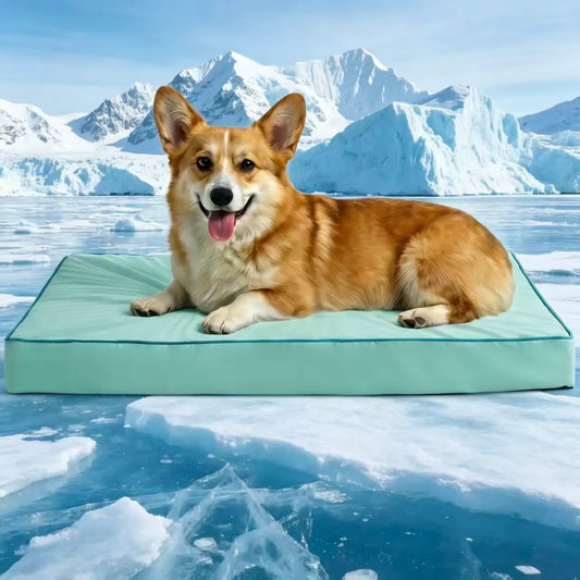 Blunique Orthopedic Cooling Pet Bed for Dogs and Cats, Waterproof Egg Crate Foam Mat and C-Shaped Sofa Bed with Q-Max 4.0 Cooling Fabric, Washable and Dryer Safe Summer Bed for Small and Large Pets