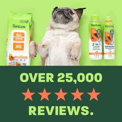 TropiClean Papaya Bliss Pet Care Bundle for Dogs and Cats