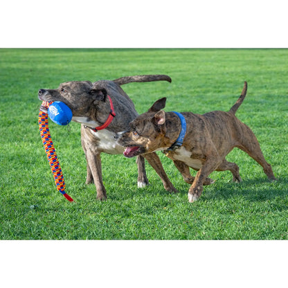 Rainbow Vortex Durable Tug Toy - Vibrant and Resilient