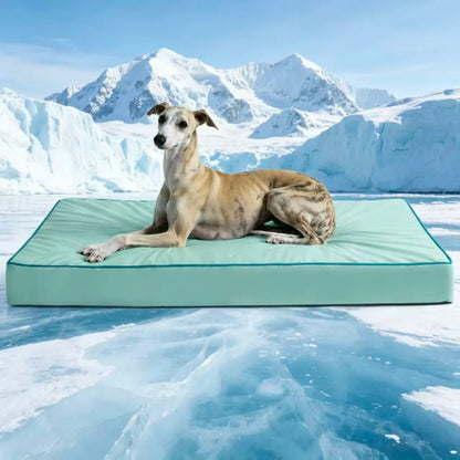 Blunique Orthopedic Cooling Pet Bed for Dogs and Cats, Waterproof Egg Crate Foam Mat and C-Shaped Sofa Bed with Q-Max 4.0 Cooling Fabric, Washable and Dryer Safe Summer Bed for Small and Large Pets