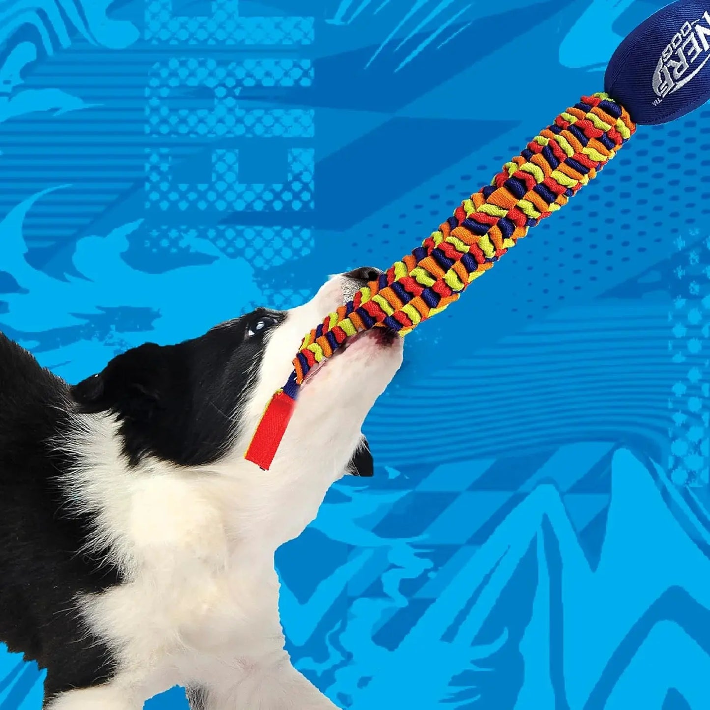 Rainbow Vortex Durable Tug Toy - Vibrant and Resilient