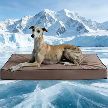 Blunique Orthopedic Cooling Pet Bed for Dogs and Cats, Waterproof Egg Crate Foam Mat and C-Shaped Sofa Bed with Q-Max 4.0 Cooling Fabric, Washable and Dryer Safe Summer Bed for Small and Large Pets
