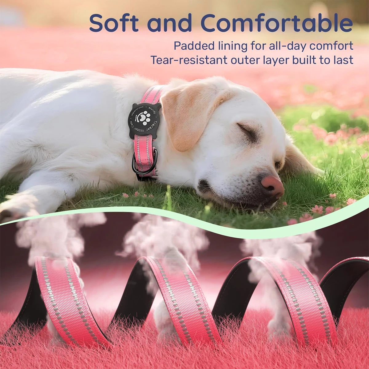 Taakcc Reflective Dog Collar with Luminous AirTag Holder, Waterproof Soft Padding, and Safety Buckle, AirTag Tracker Case Collars